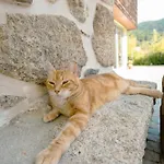 Casa Da Ribeira Do Cirio Летний дом *