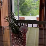 Casa Da Ribeira Do Cirio * Сейя
