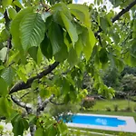 Casa Da Ribeira Do Cirio Летний дом