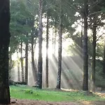 Kır Evi Casa Da Ribeira Do Cirio *