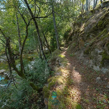 Casa Da Ribeira Do Cirio Летний дом