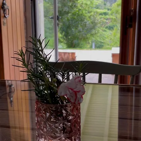 Casa Da Ribeira Do Cirio * Сейя