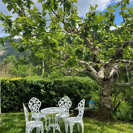 Casa Da Ribeira Do Cirio * Seia