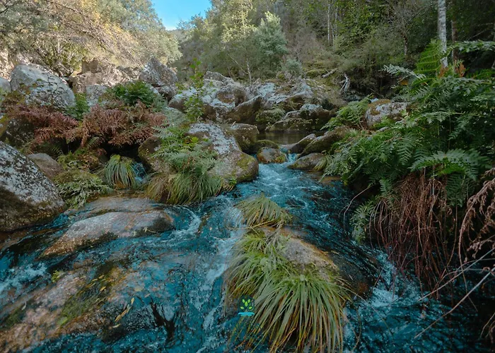 Casa Da Ribeira Do Círio Casa rural Seia