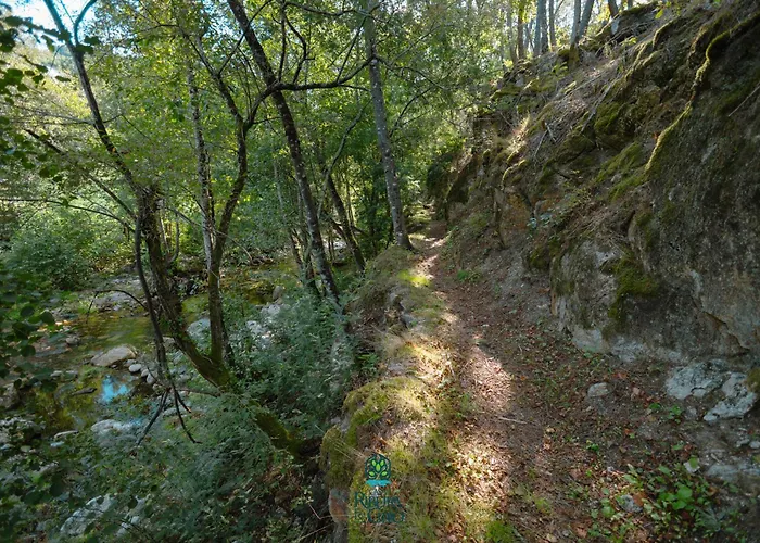 Casa Da Ribeira Do Círio Casa rural