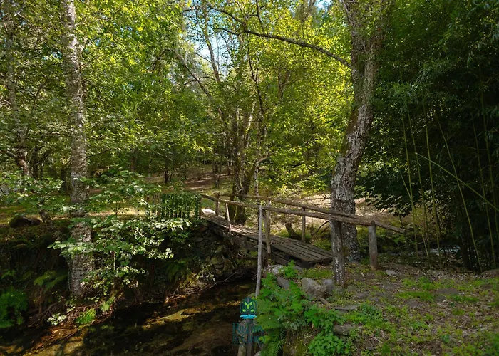 Casa Da Ribeira Do Círio Casa rural Seia