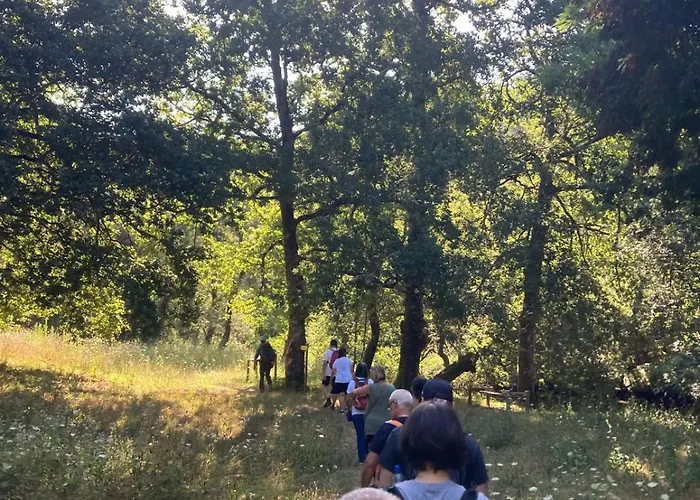 Casa Da Ribeira Do Círio Casa rural Seia