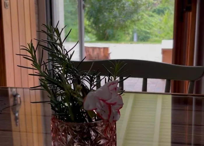 Casa Da Ribeira Do Círio * Seia