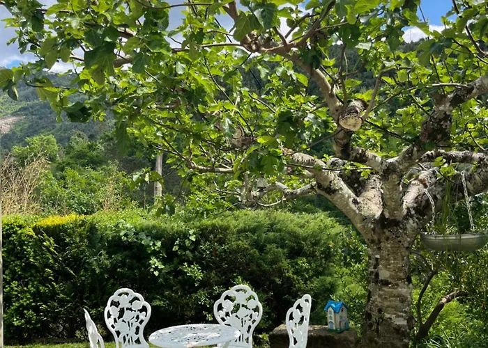 Casa Da Ribeira Do Círio * Seia