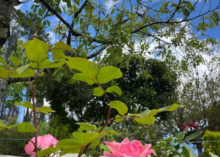 Casa Da Ribeira Do Círio