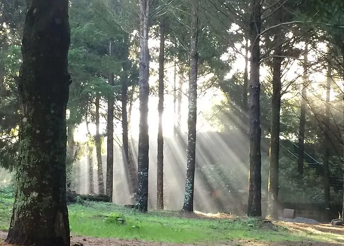 Casa rural Casa Da Ribeira Do Círio *